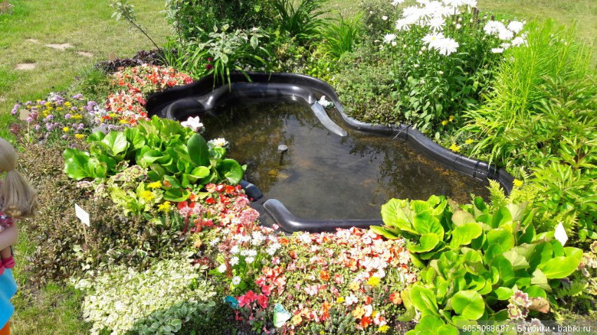 Лето... Солнце... Цветы — Болталка и разговоры обо всем: жизнь