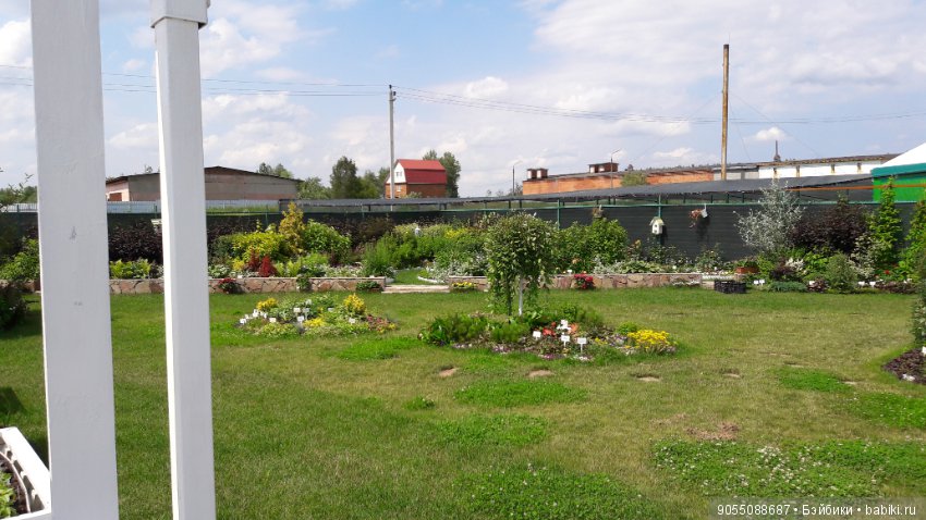 Лето... Солнце... Цветы — Болталка и разговоры обо всем: жизнь