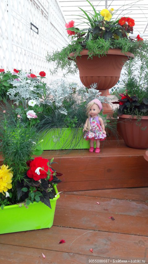 Лето... Солнце... Цветы — Болталка и разговоры обо всем: жизнь (фото 4)