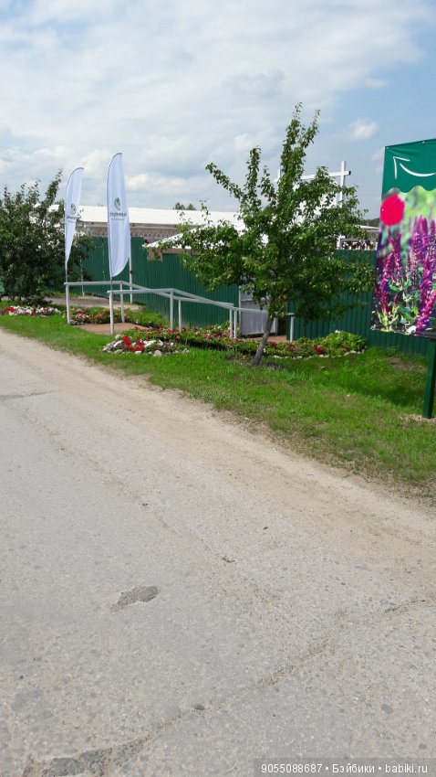 Лето... Солнце... Цветы — Болталка и разговоры обо всем: жизнь (фото 3)