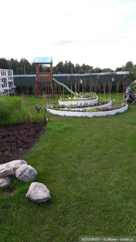 Лето... Солнце... Цветы — Болталка и разговоры обо всем: жизнь