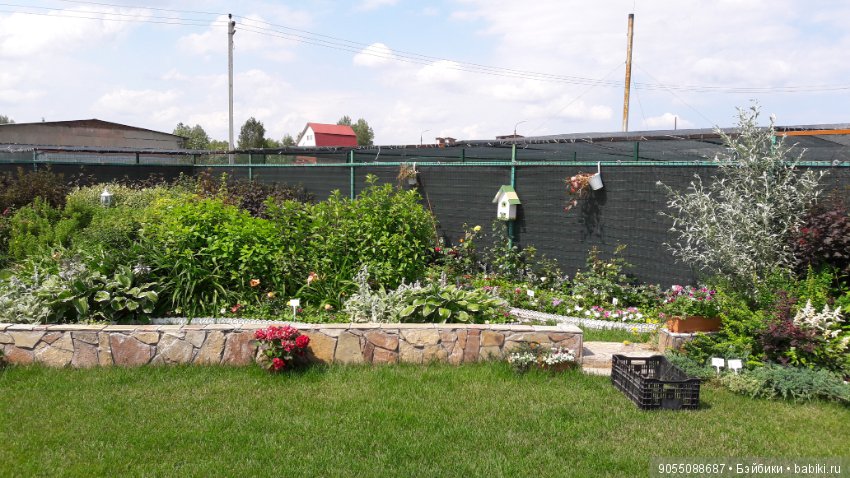 Лето... Солнце... Цветы — Болталка и разговоры обо всем: жизнь