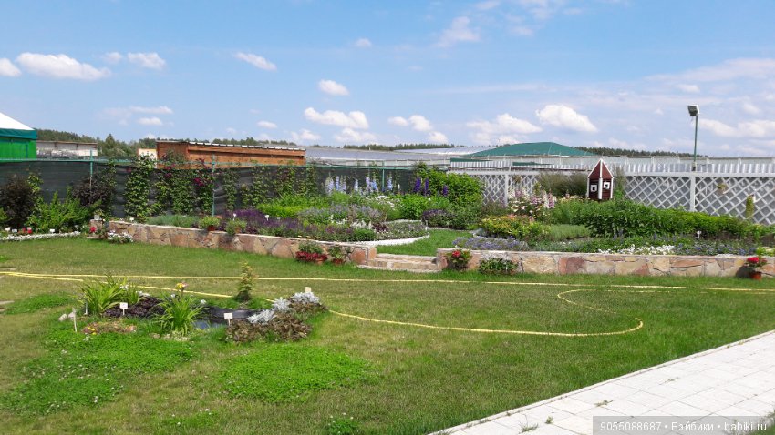 Лето... Солнце... Цветы — Болталка и разговоры обо всем: жизнь