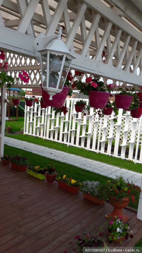 Лето... Солнце... Цветы — Болталка и разговоры обо всем: жизнь