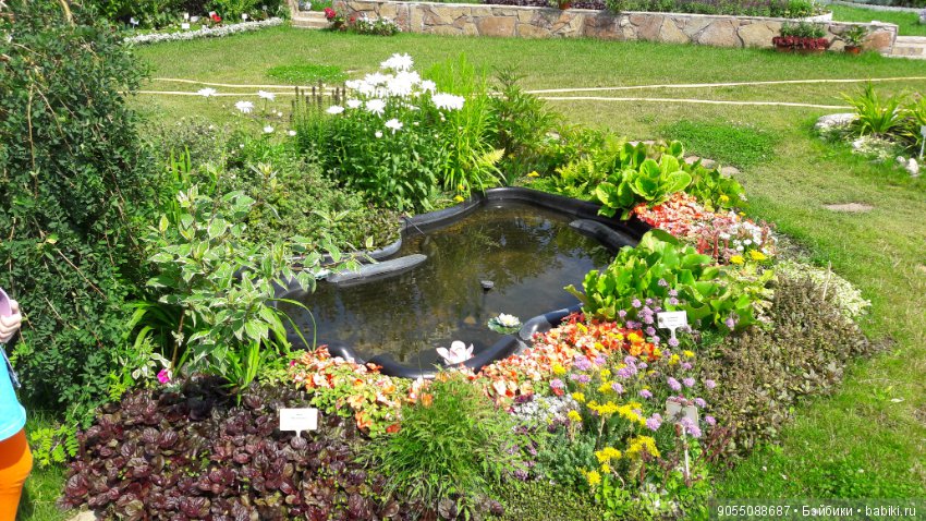 Лето... Солнце... Цветы — Болталка и разговоры обо всем: жизнь