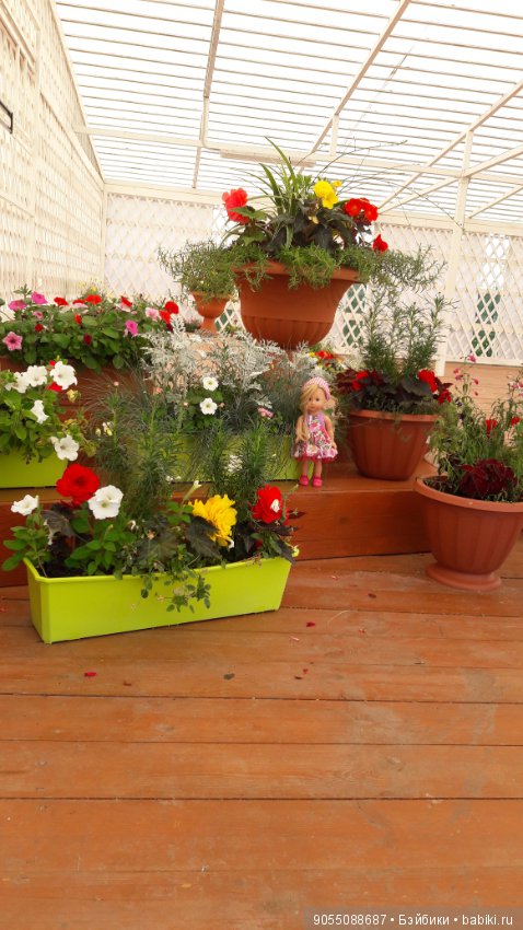 Лето... Солнце... Цветы — Болталка и разговоры обо всем: жизнь (фото 6)