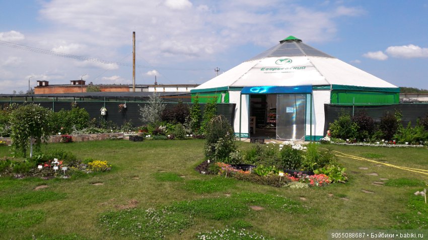 Лето... Солнце... Цветы — Болталка и разговоры обо всем: жизнь