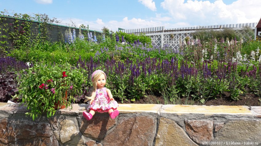 Лето... Солнце... Цветы — Болталка и разговоры обо всем: жизнь