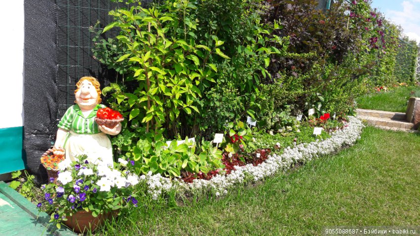 Лето... Солнце... Цветы — Болталка и разговоры обо всем: жизнь