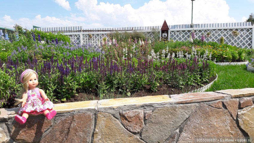 Лето... Солнце... Цветы — Болталка и разговоры обо всем: жизнь