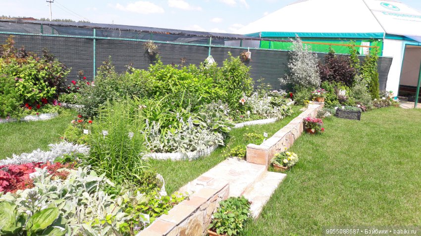 Лето... Солнце... Цветы — Болталка и разговоры обо всем: жизнь