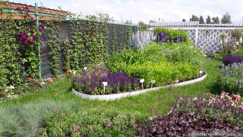 Лето... Солнце... Цветы — Болталка и разговоры обо всем: жизнь