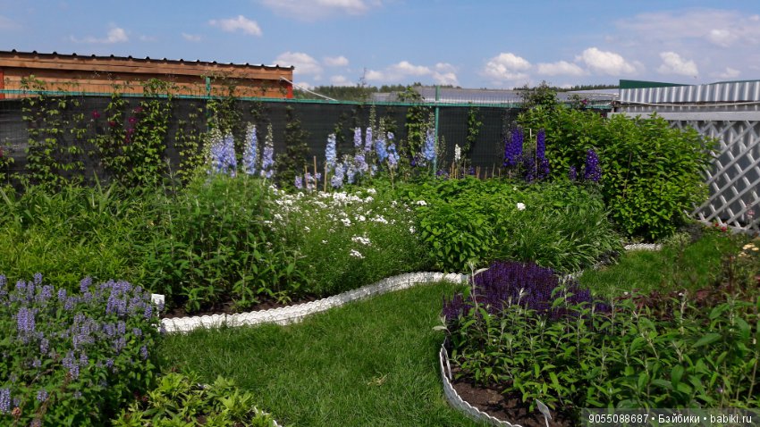 Лето... Солнце... Цветы — Болталка и разговоры обо всем: жизнь