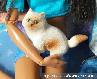 Банда в полосатых купальниках или мои миниатюрные котэ (фото 10)