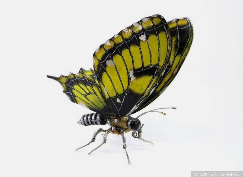 Механические чудеса: стимпанк перевоплощения от Игоря Верного