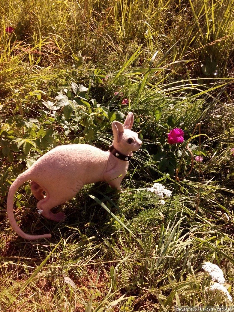 Сфинкс на прогулке — Валяные игрушки из шерсти: сухое валяние (фото 6)