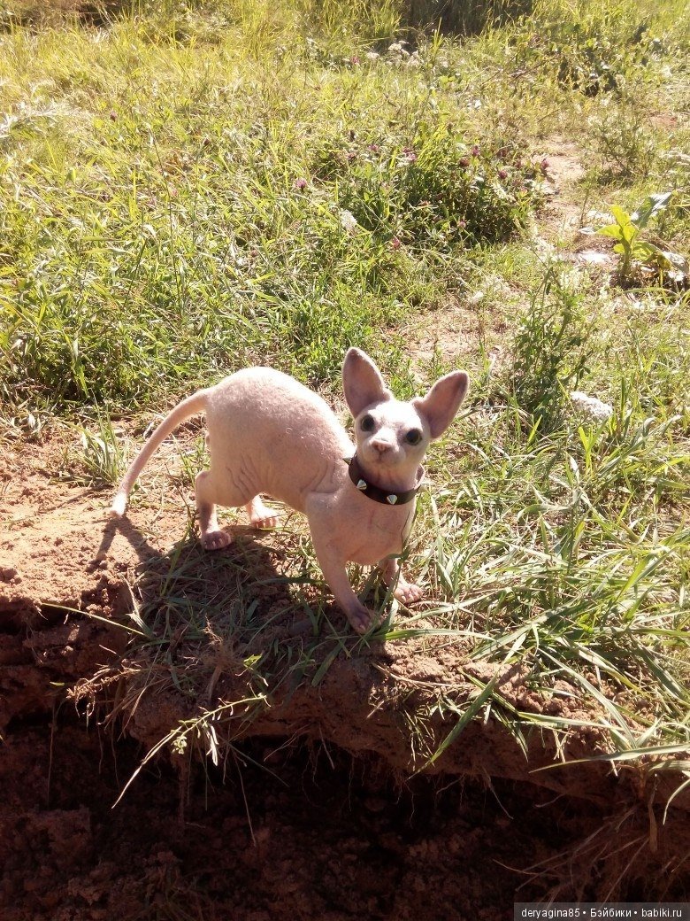 Сфинкс на прогулке — Валяные игрушки из шерсти: сухое валяние (фото 5)