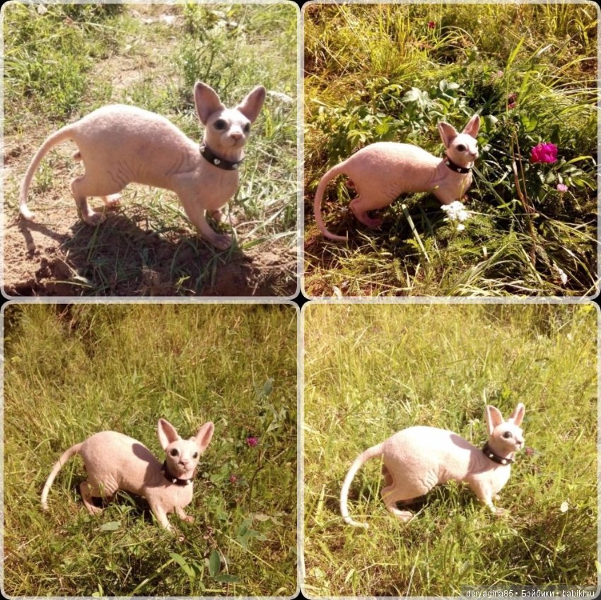 Сфинкс на прогулке — Валяные игрушки из шерсти: сухое валяние (фото 4)