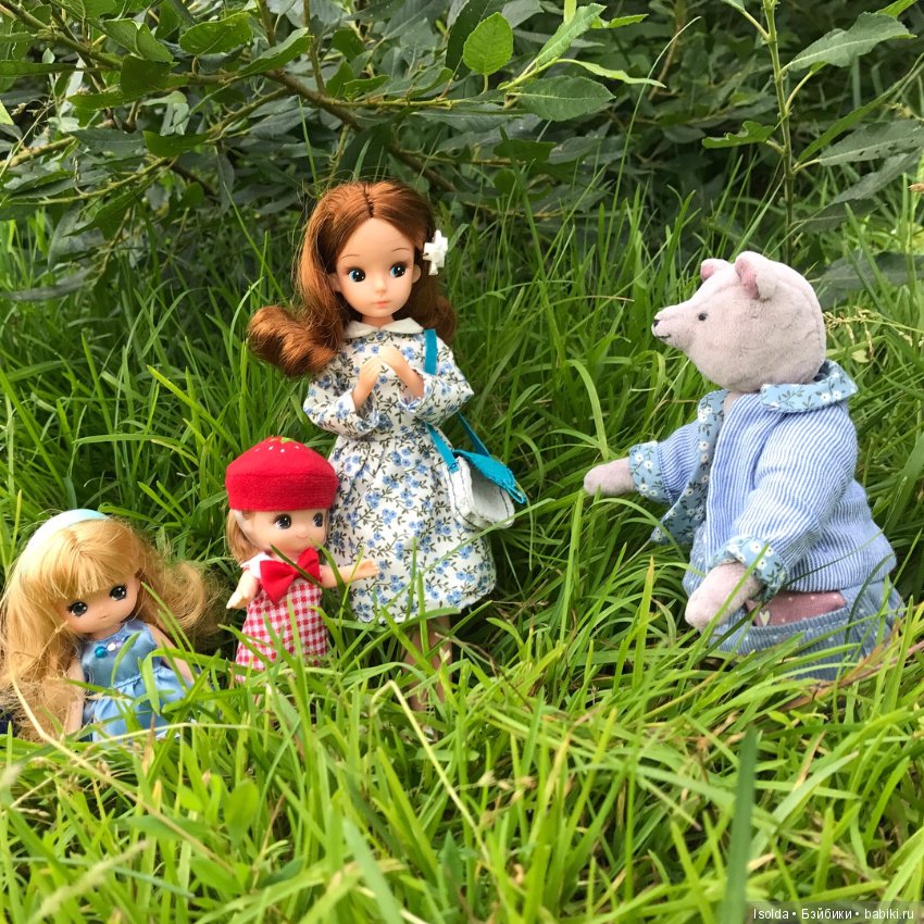 Городские Ликки в лесу — Игровые куклы разных производителей (Разное): редкие бренды (фото 8)