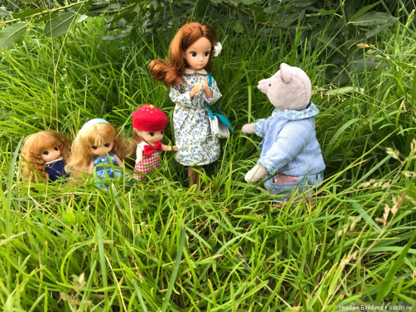 Городские Ликки в лесу — Игровые куклы разных производителей (Разное): редкие бренды (фото 9)