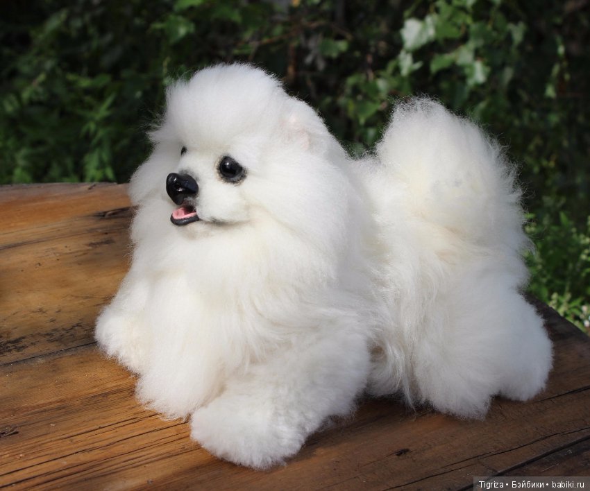 Шпиц-тедди, игрушка ручной работы (фото 4)