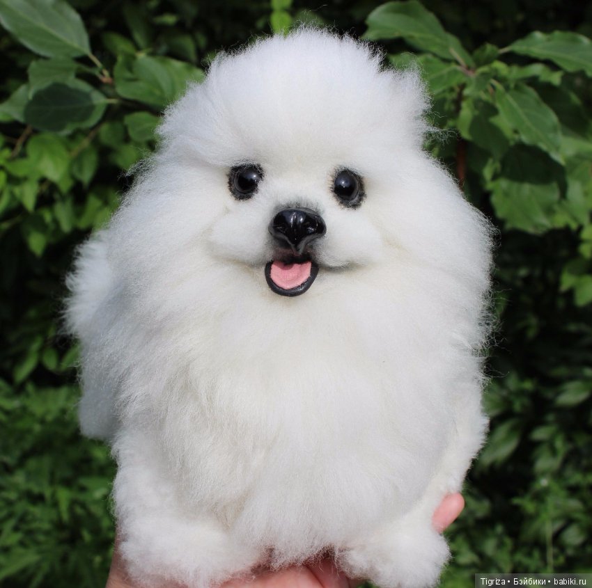 Шпиц-тедди, игрушка ручной работы (фото 7)