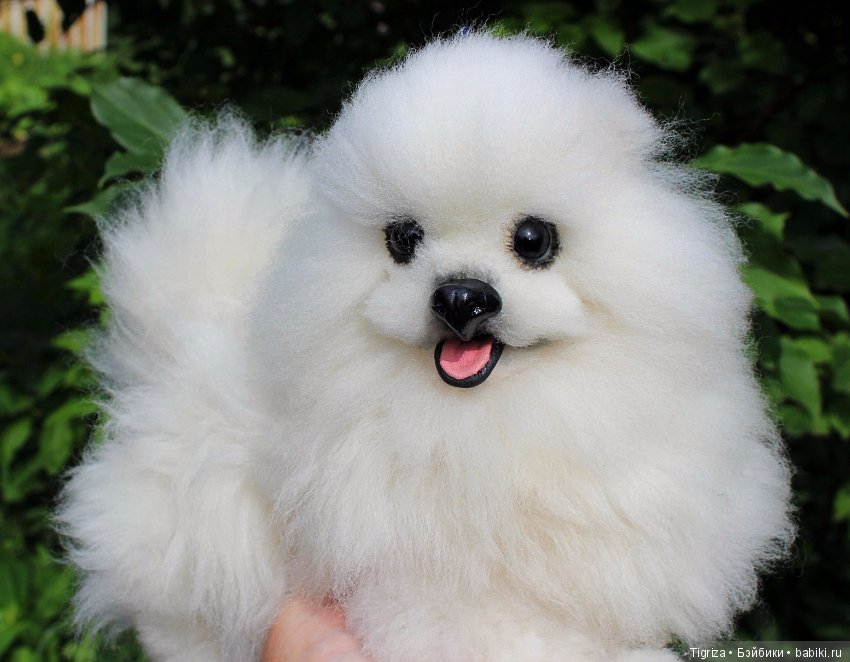 Шпиц-тедди, игрушка ручной работы (фото 6)