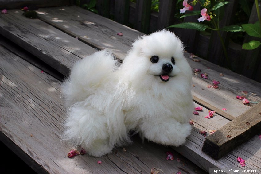 Шпиц-тедди, игрушка ручной работы (фото 5)