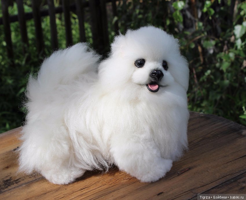 Шпиц-тедди, игрушка ручной работы (фото 2)