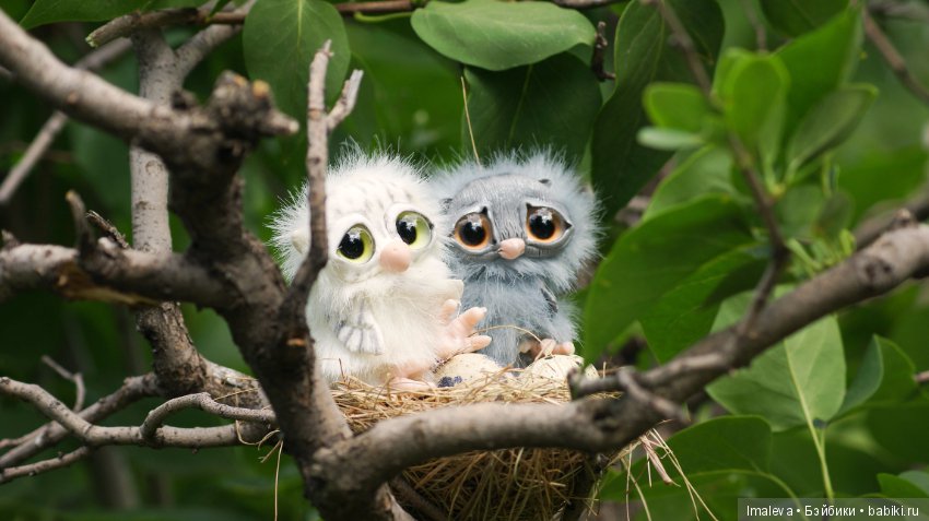 Маленькие птенчики в гнезде (фото 4)