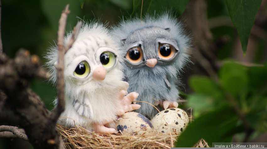 Маленькие птенчики в гнезде (фото 5)