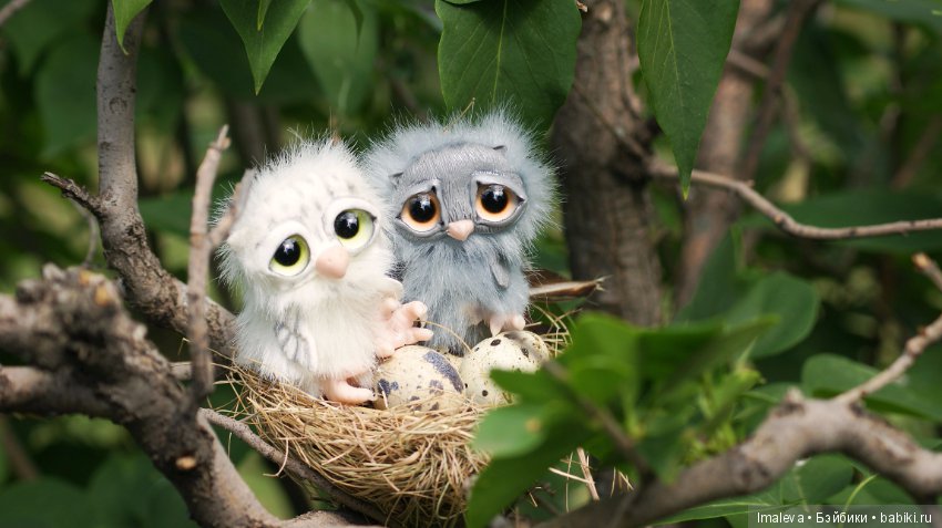 Маленькие птенчики в гнезде