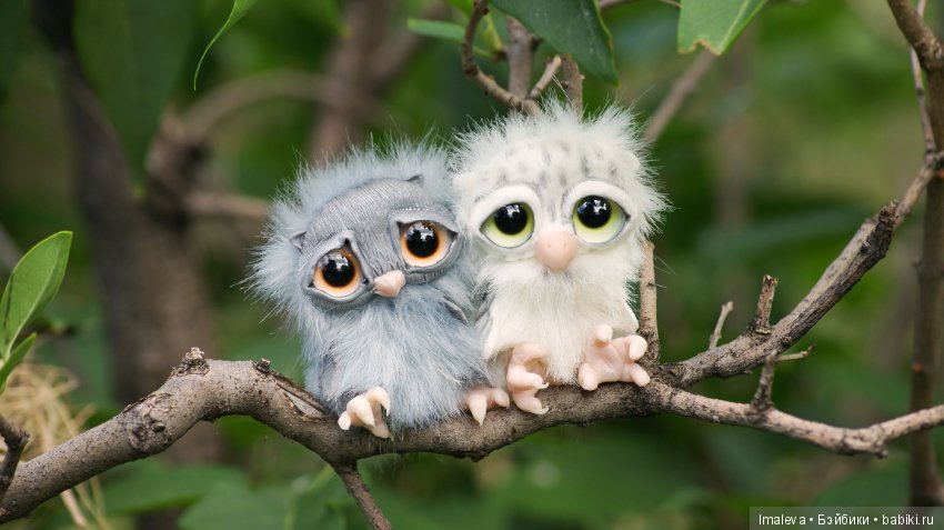 Маленькие птенчики в гнезде (фото 8)