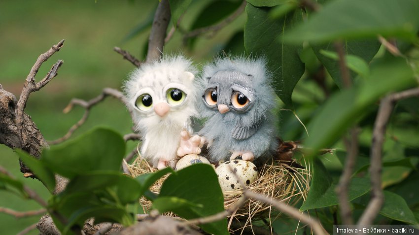 Маленькие птенчики в гнезде (фото 2)