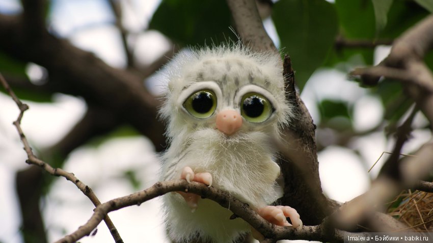 Маленькие птенчики в гнезде (фото 9)