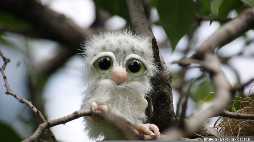 Маленькие птенчики в гнезде