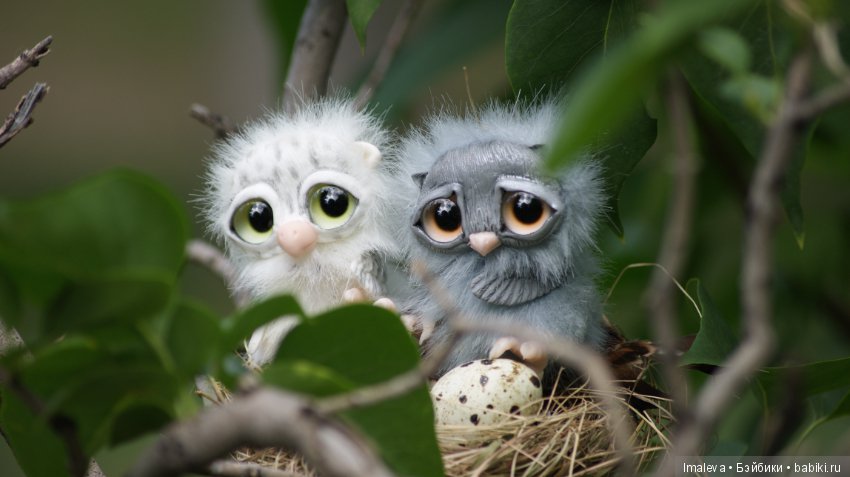 Маленькие птенчики в гнезде (фото 7)