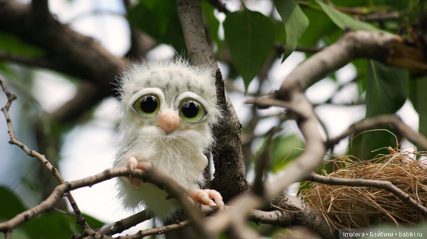 Маленькие птенчики в гнезде (фото 10)