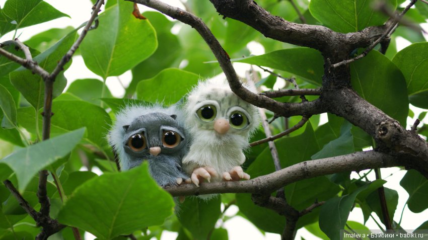 Маленькие птенчики в гнезде