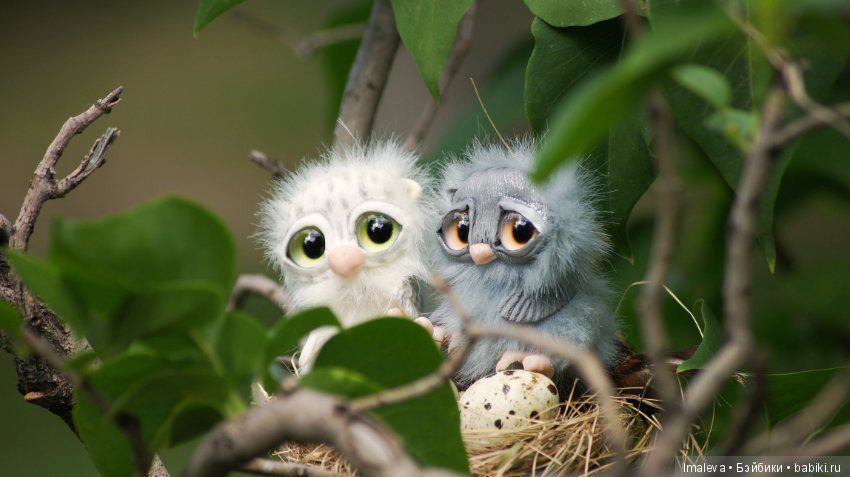 Маленькие птенчики в гнезде (фото 6)