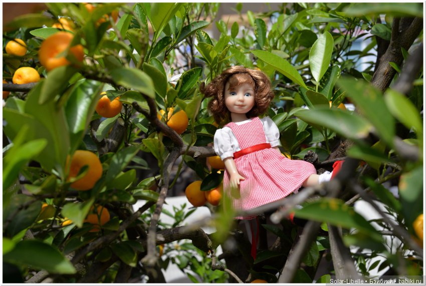 Австрия. Первые впечатления (фото 2)