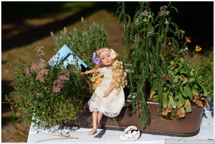 Австрия. Первые впечатления