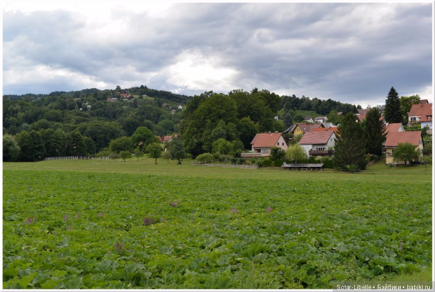 Австрия. Первые впечатления
