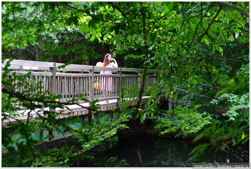 Австрия. Первые впечатления