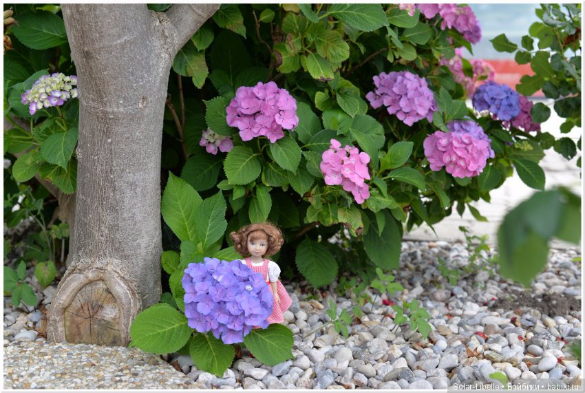 Австрия. Первые впечатления (фото 8)