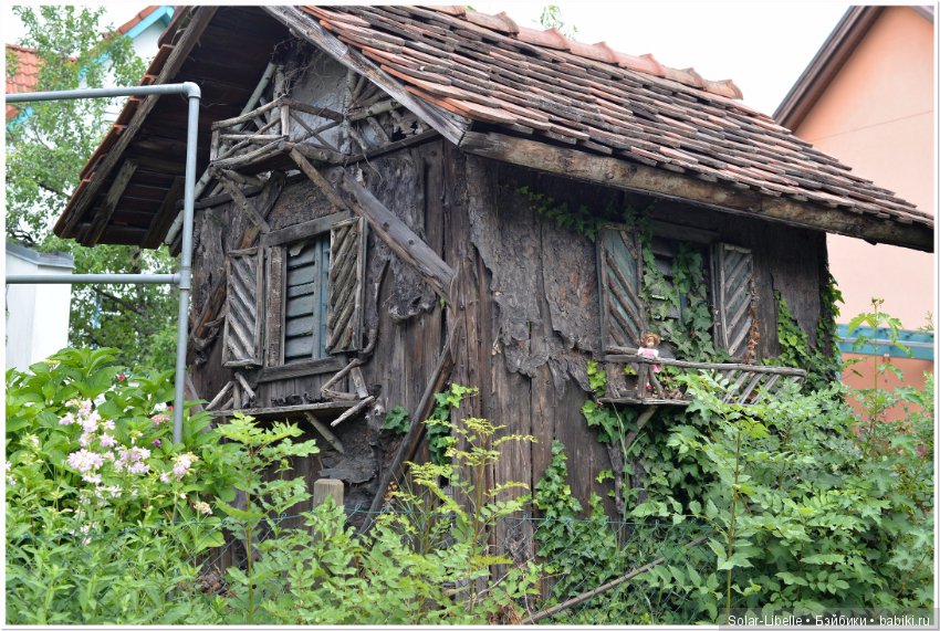 Австрия. Первые впечатления (фото 5)