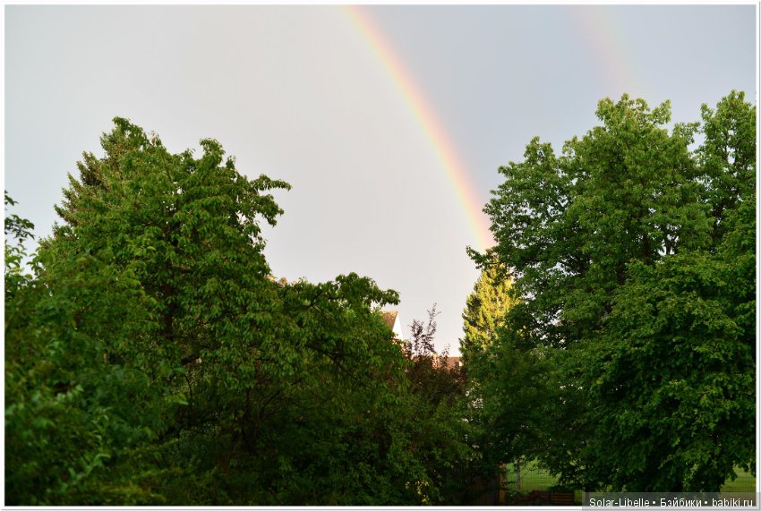 Австрия. Первые впечатления