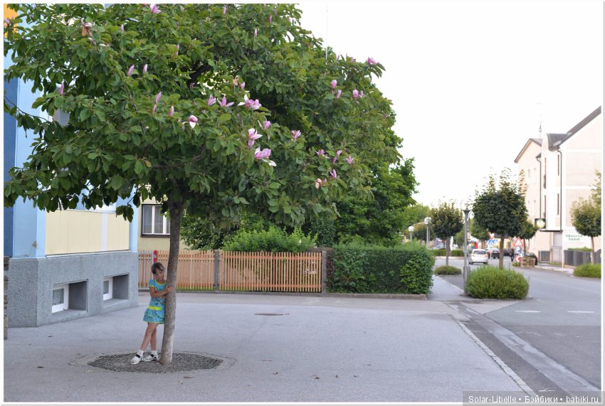 Австрия. Первые впечатления