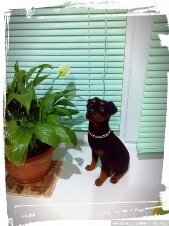 Ротвейлер — Валяные игрушки из шерсти: сухое валяние