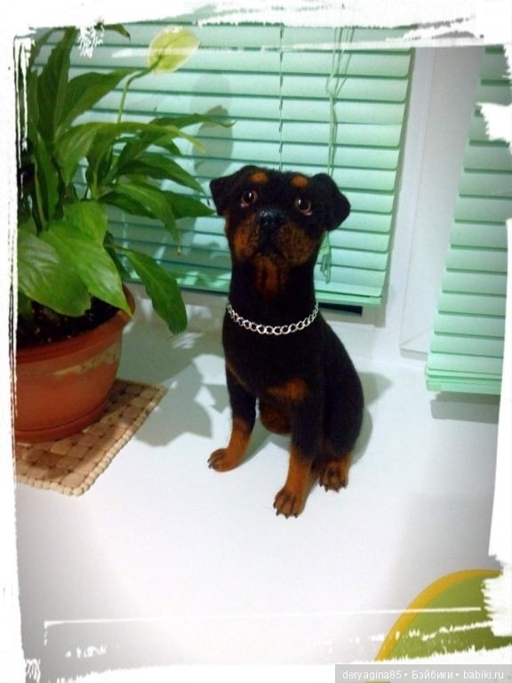 Ротвейлер — Валяные игрушки из шерсти: сухое валяние (фото 3)